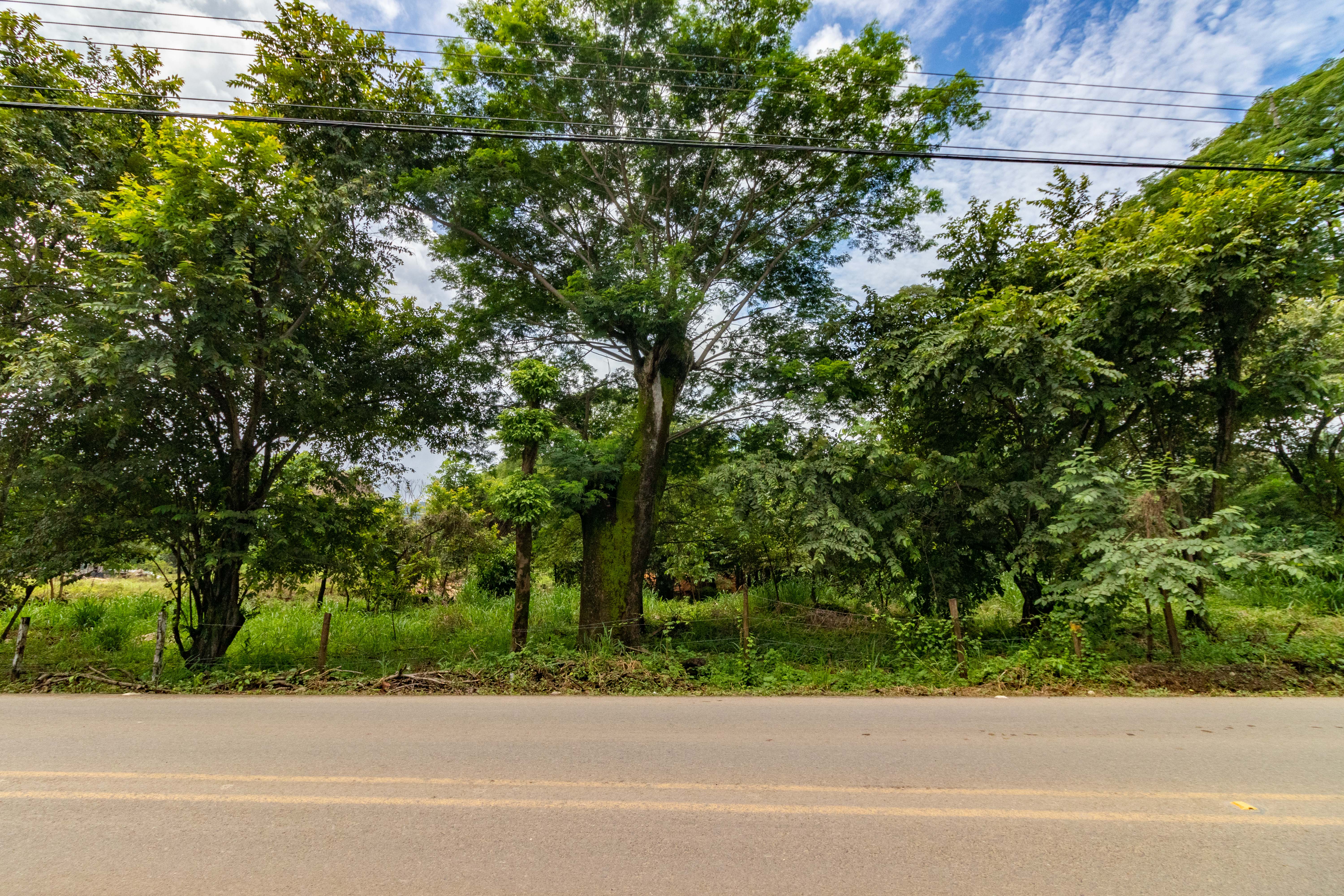 0 bed Land For Sale in Nosara, Guanacaste - thumb 8