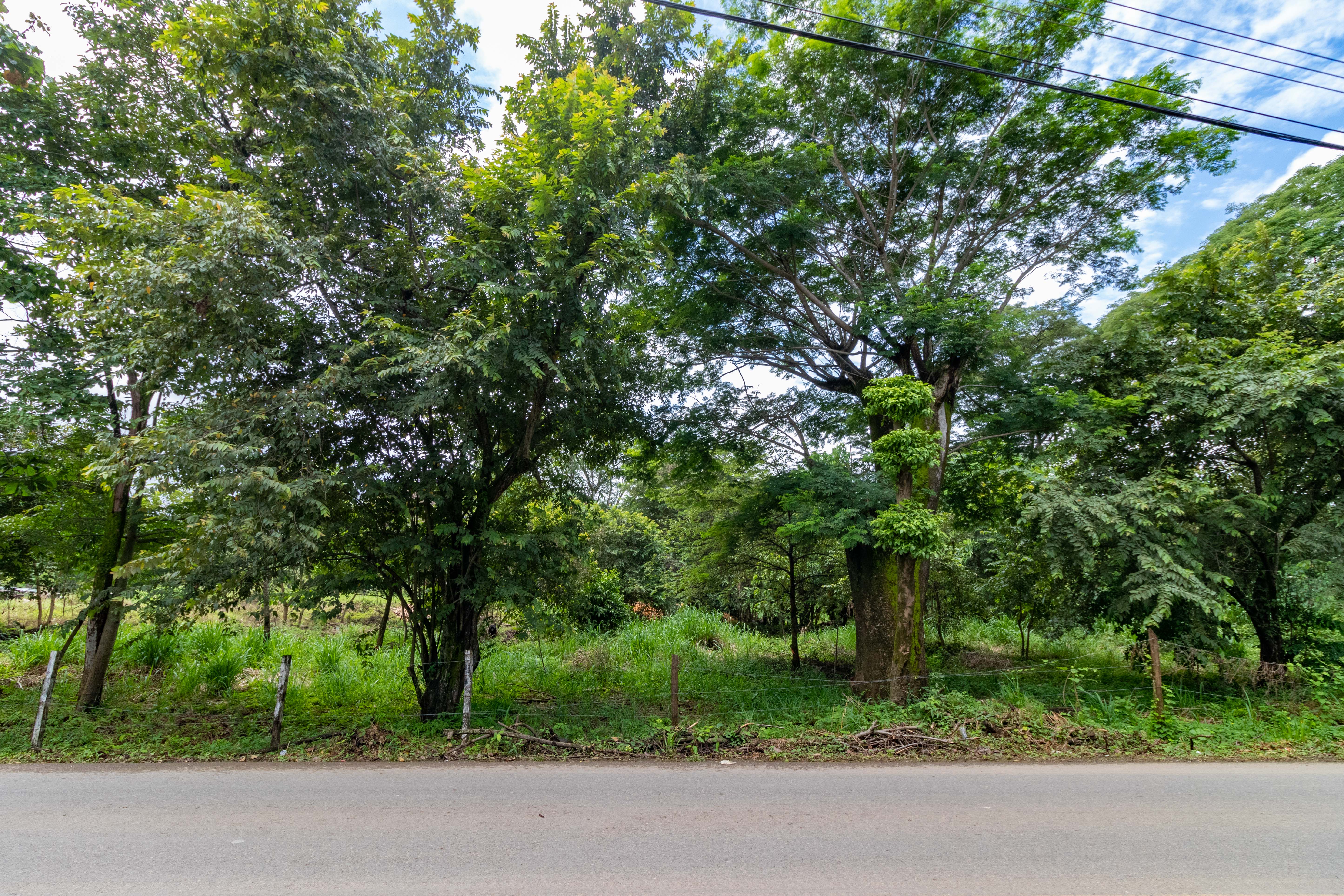 0 bed Land For Sale in Nosara, Guanacaste - thumb 1
