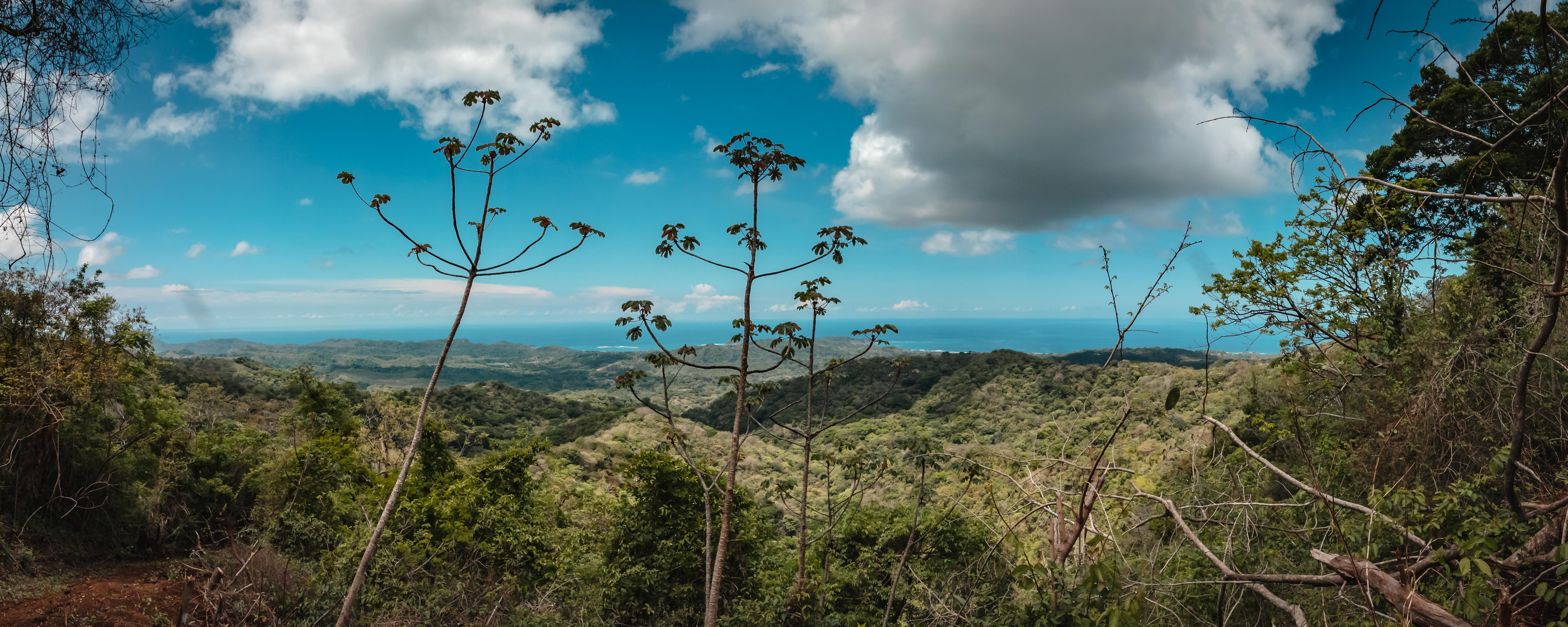 0 bed Land For Sale in Nosara, Guanacaste - thumb 4