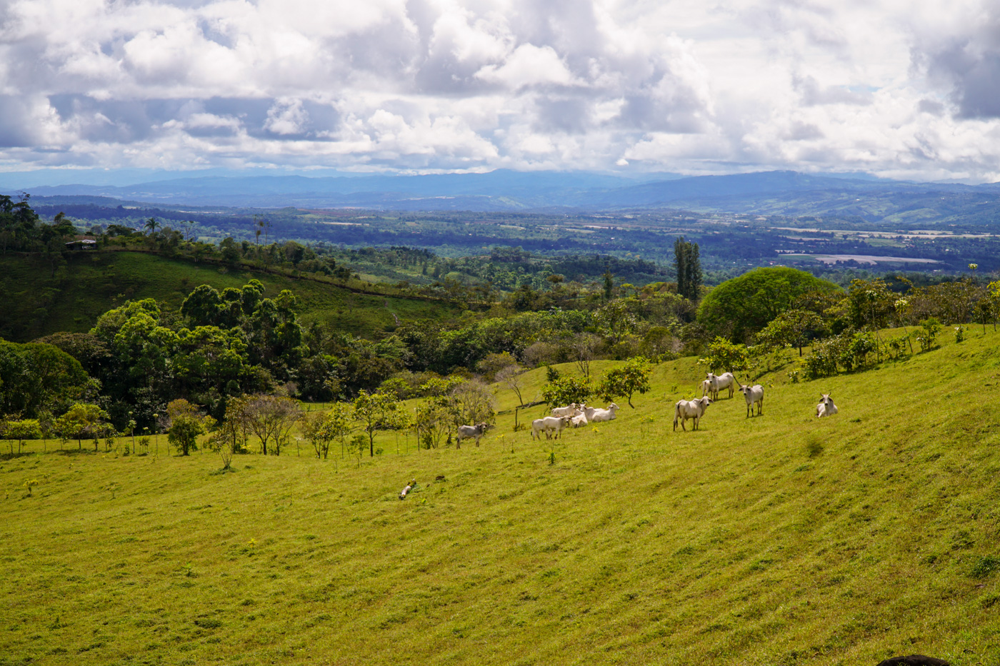 1 bed Land For Sale in Perez Zeledon, San Jose - thumb 18