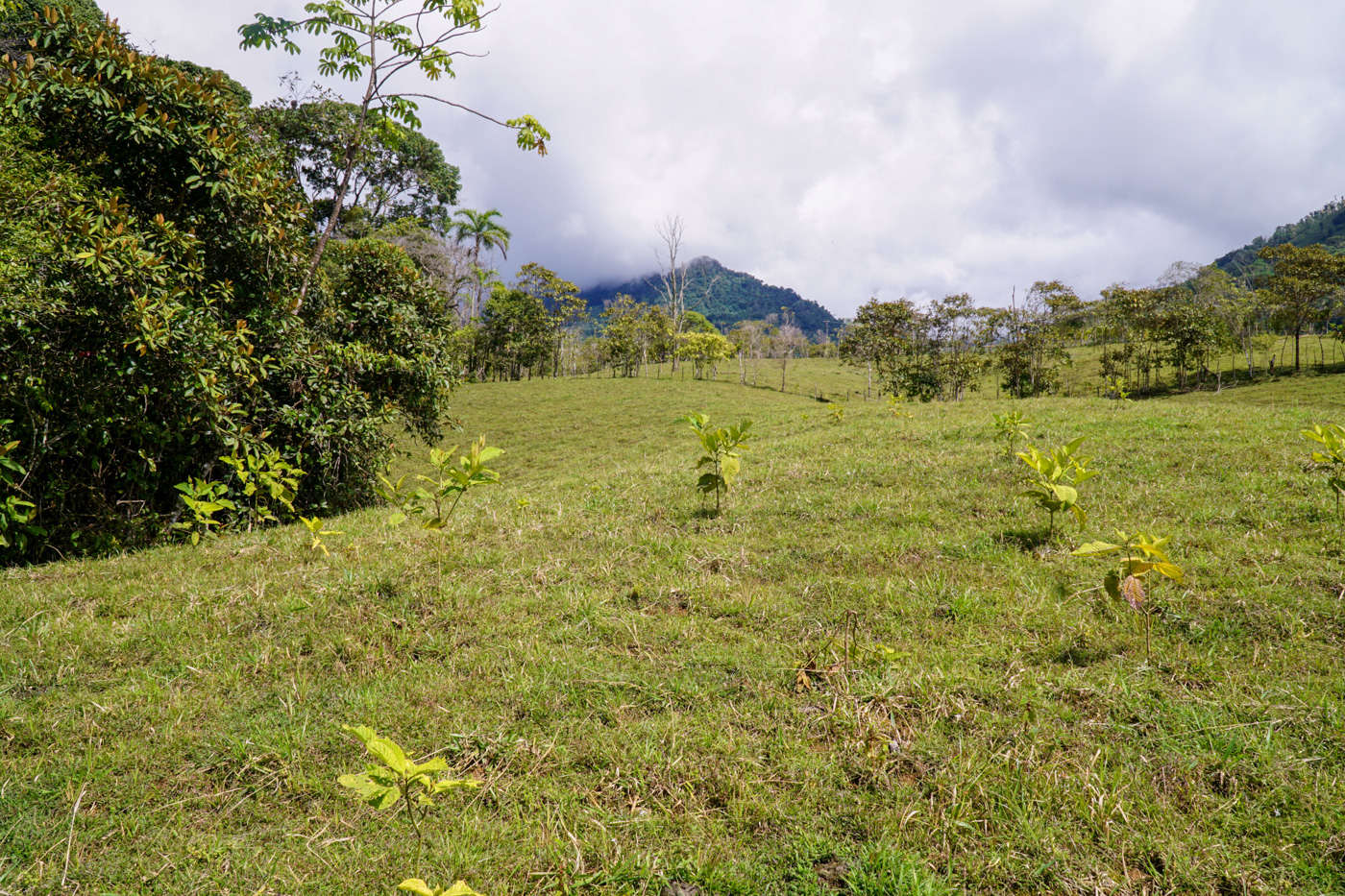 1 bed Land For Sale in Perez Zeledon, San Jose - thumb 12