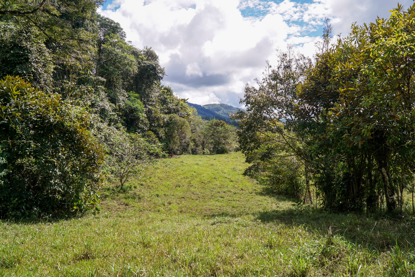 1 bed Land For Sale in Perez Zeledon, San Jose - thumb 10