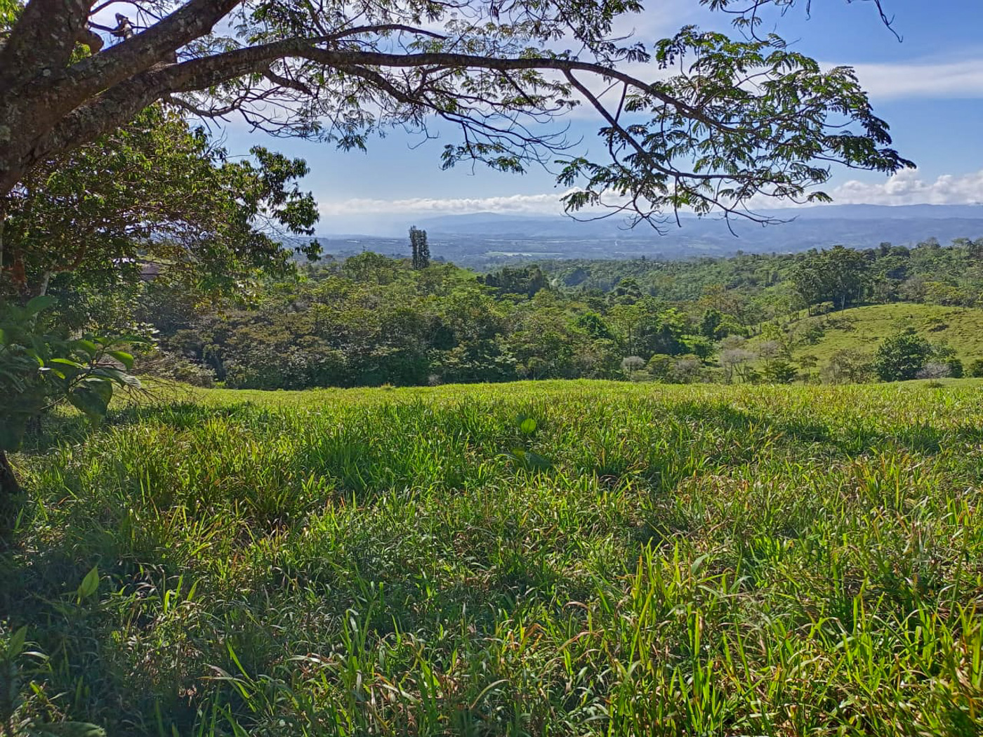 1 bed Land For Sale in Perez Zeledon, San Jose - thumb 29