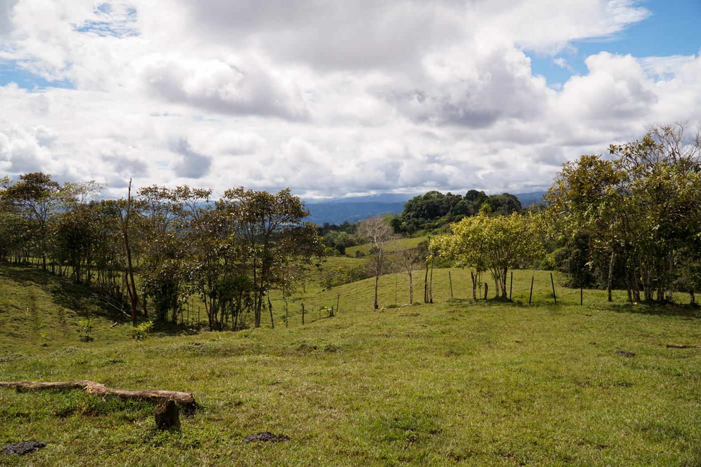 1 bed Land For Sale in Perez Zeledon, San Jose - thumb 15