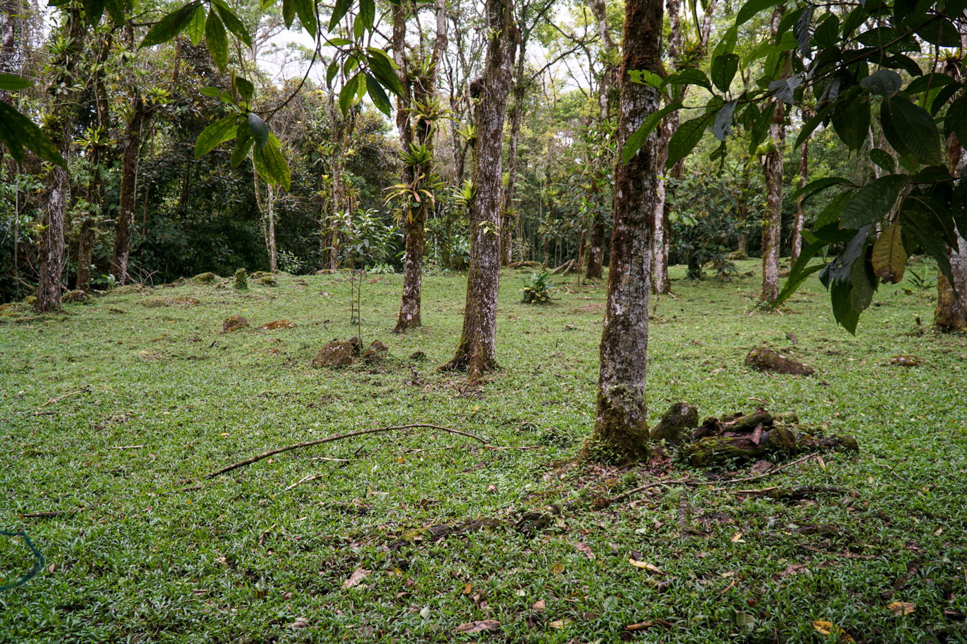 1 bed Land For Sale in Perez Zeledon, San Jose - thumb 24