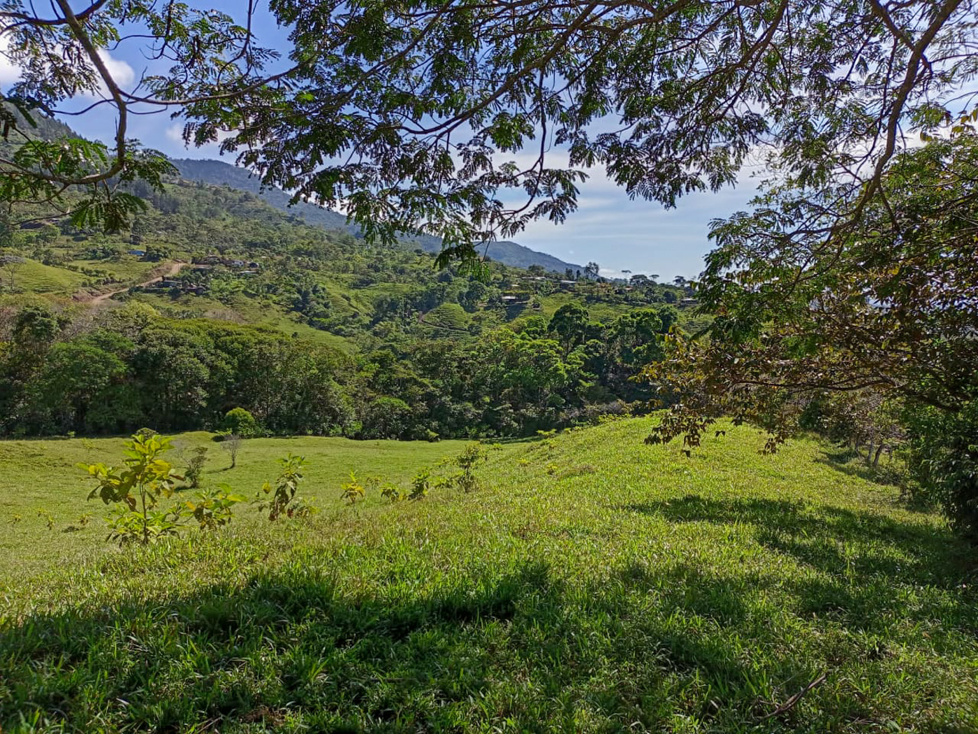 1 bed Land For Sale in Perez Zeledon, San Jose - thumb 1