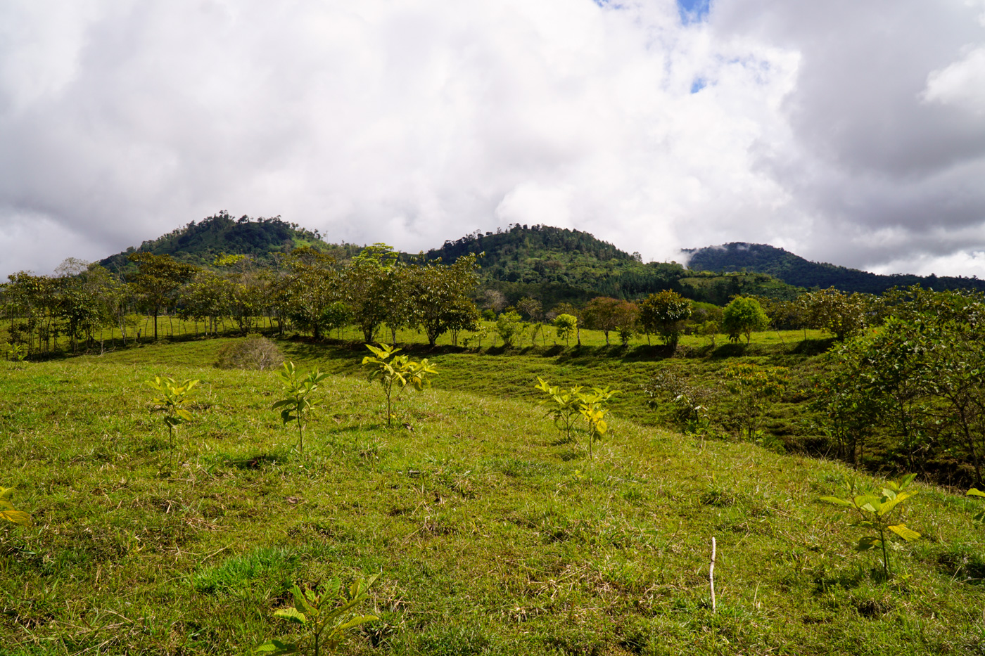 1 bed Land For Sale in Perez Zeledon, San Jose - thumb 14