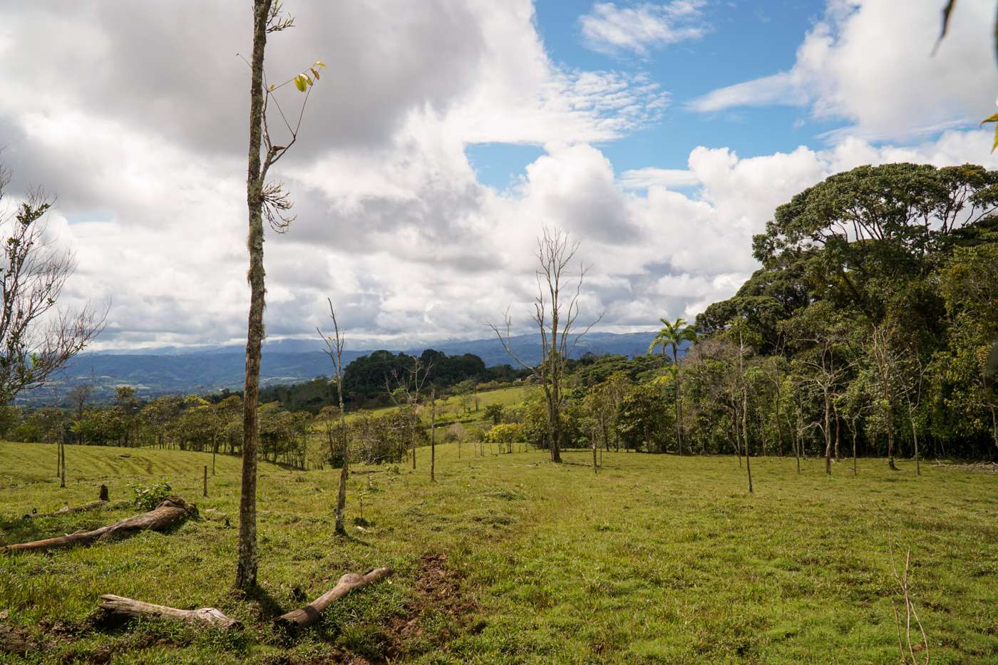 1 bed Land For Sale in Perez Zeledon, San Jose - thumb 16