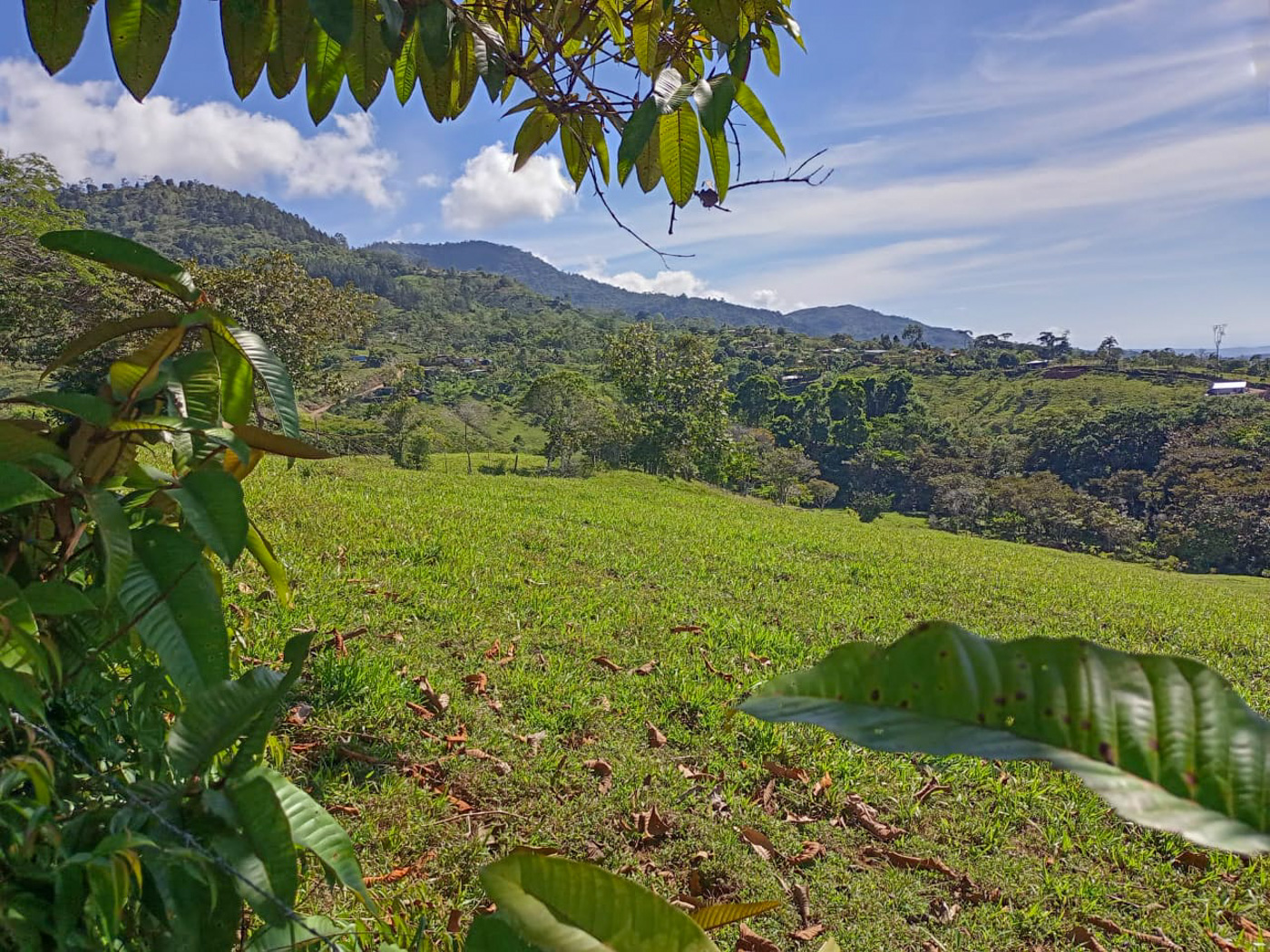 1 bed Land For Sale in Perez Zeledon, San Jose - thumb 28