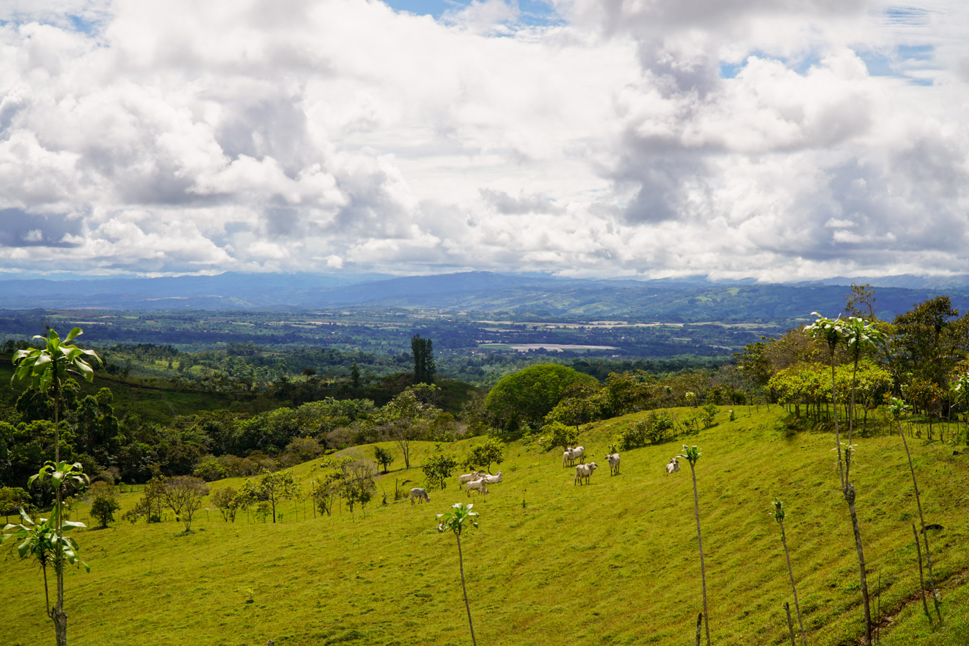 1 bed Land For Sale in Perez Zeledon, San Jose - thumb 20