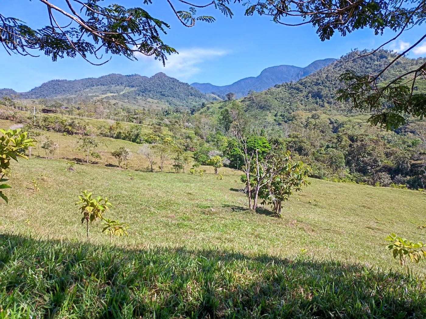 1 bed Land For Sale in Perez Zeledon, San Jose - thumb 27