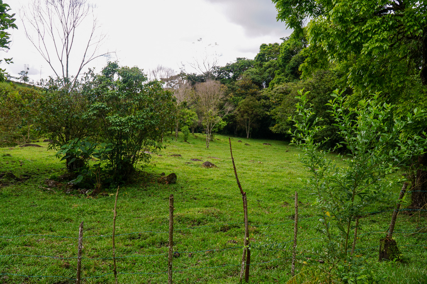 1 bed Land For Sale in Perez Zeledon, San Jose - thumb 25