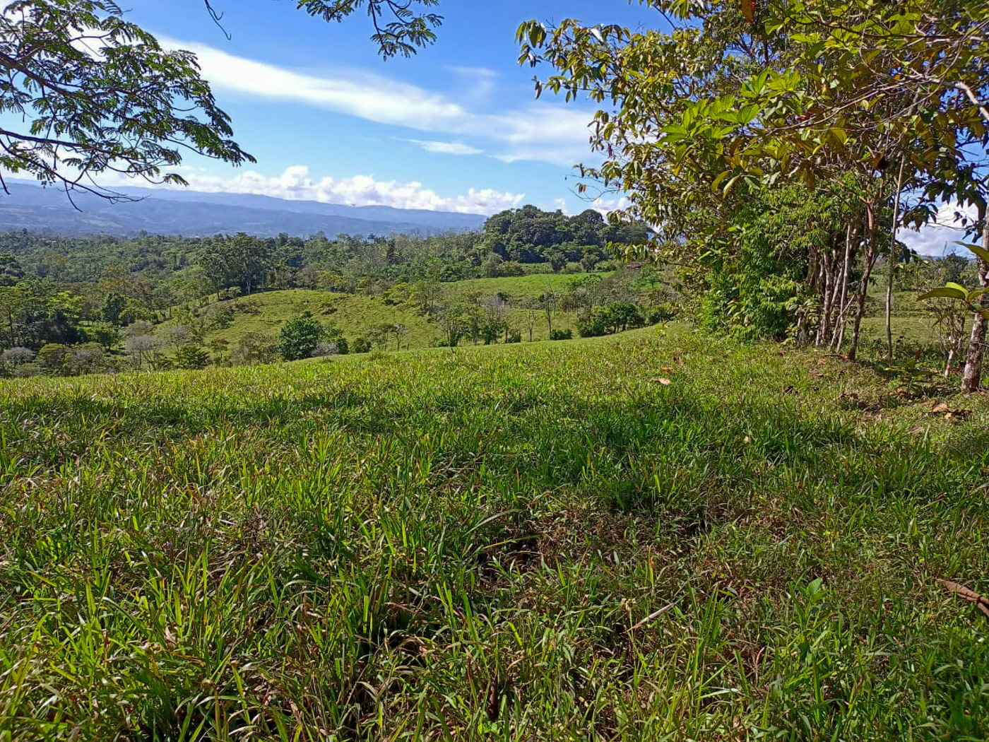 1 bed Land For Sale in Perez Zeledon, San Jose - thumb 2