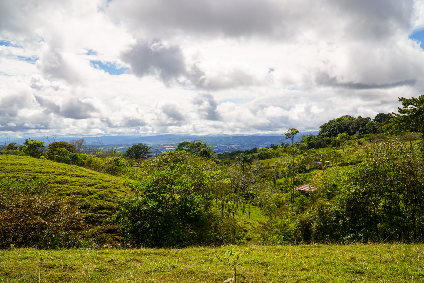 1 bed Land For Sale in Perez Zeledon, San Jose - thumb 13