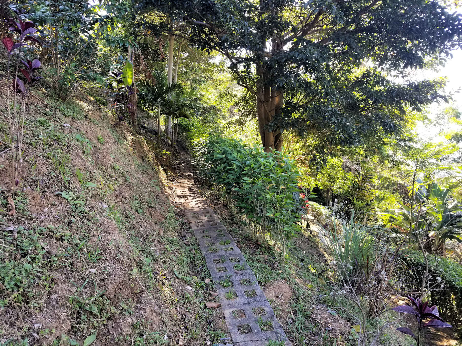 0 bed Land For Sale in Atenas, Alajuela - thumb 13