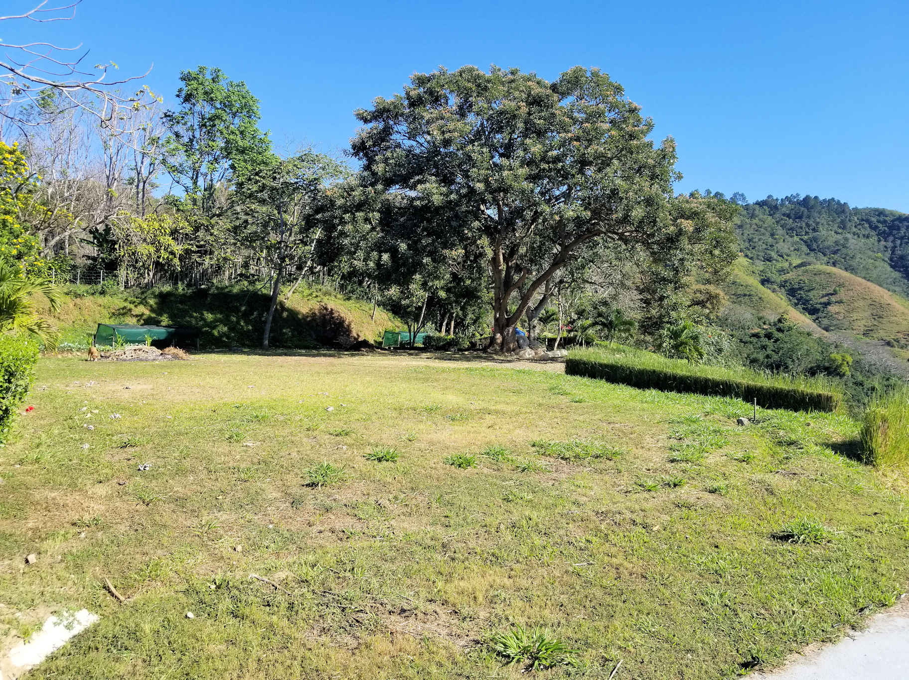 0 bed Land For Sale in Atenas, Alajuela - thumb 4