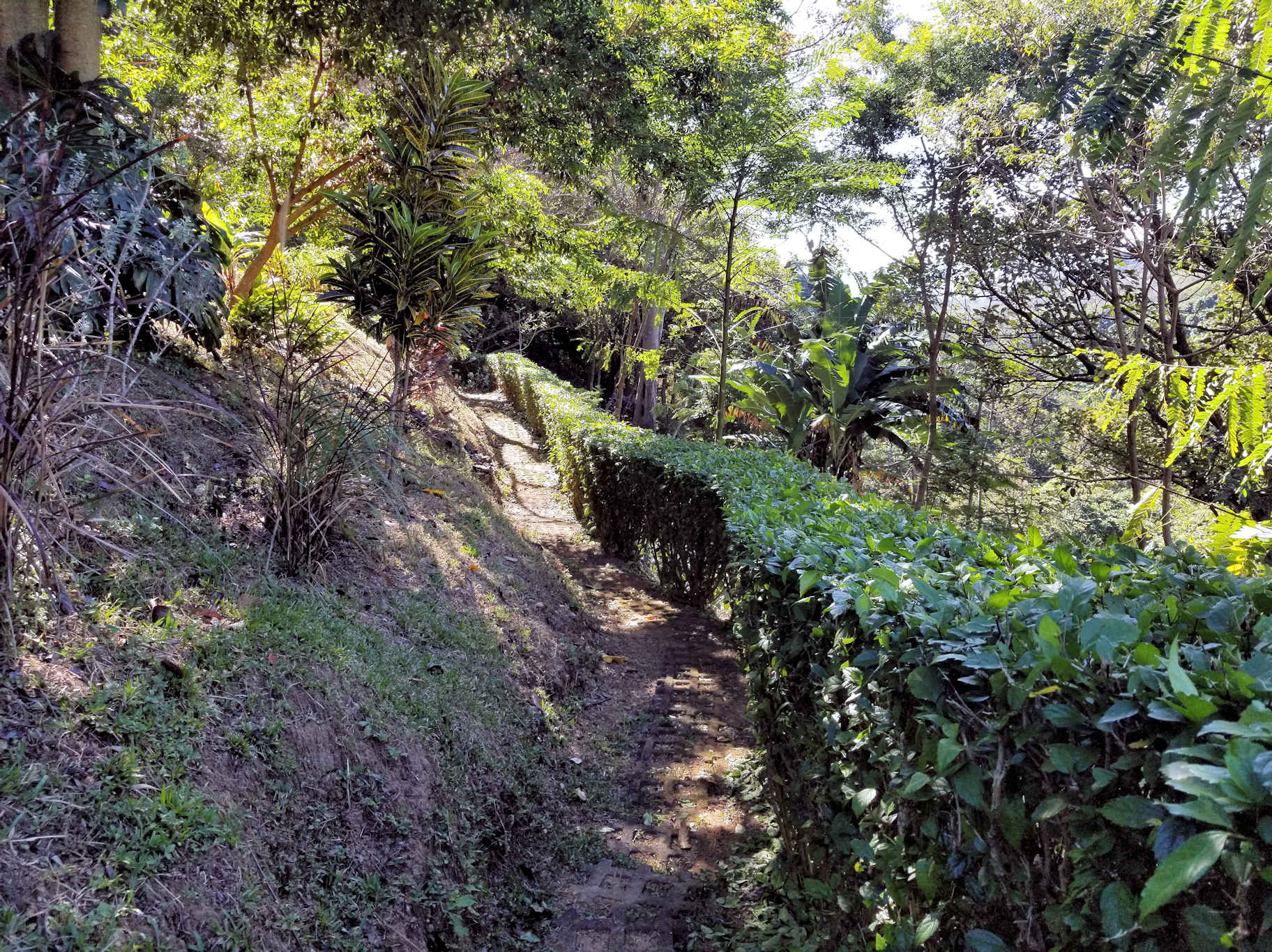 0 bed Land For Sale in Atenas, Alajuela - thumb 14