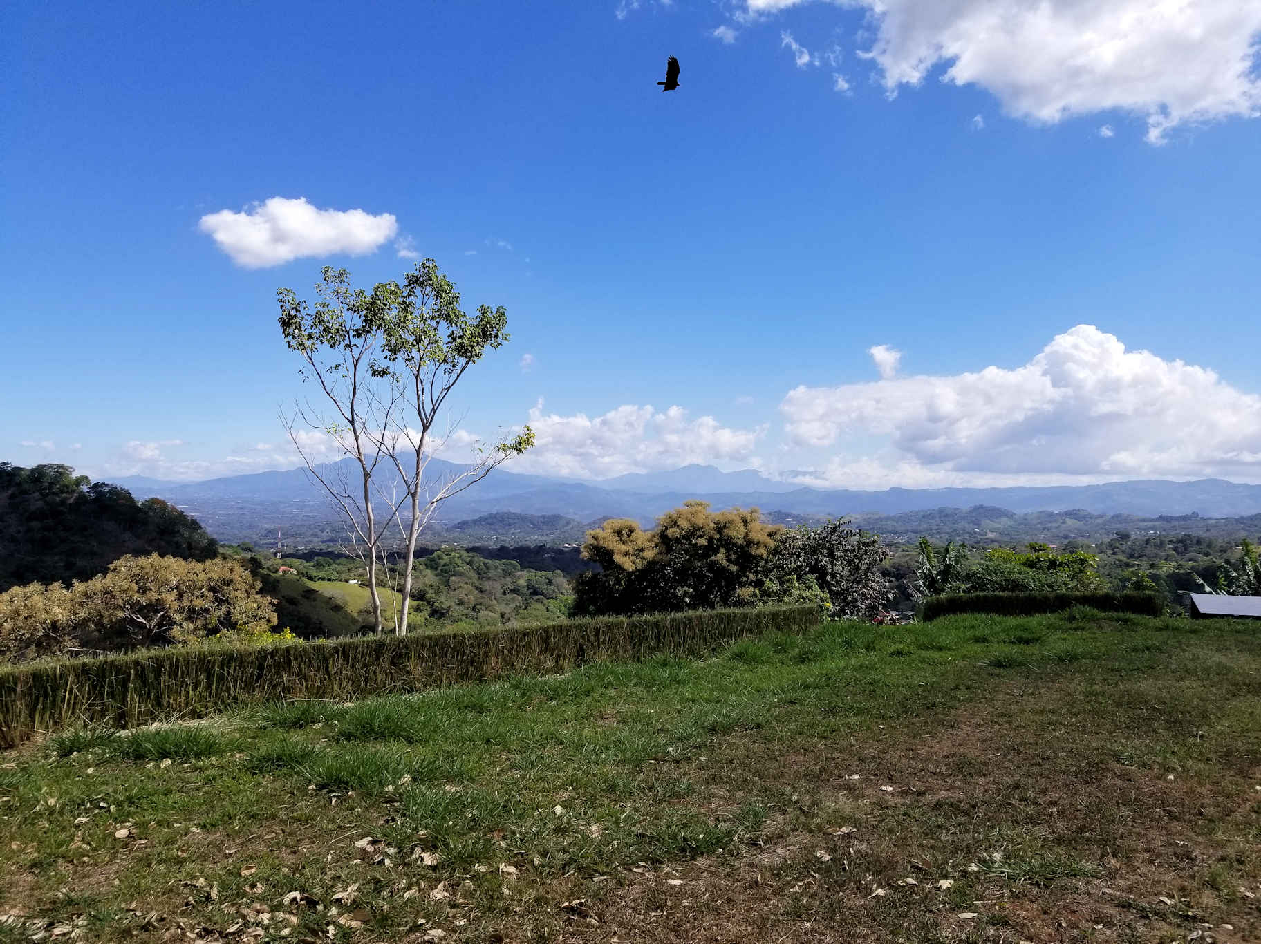0 bed Land For Sale in Atenas, Alajuela - thumb 1