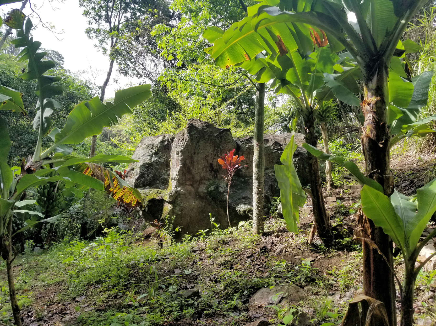 0 bed Land For Sale in Atenas, Alajuela - thumb 17