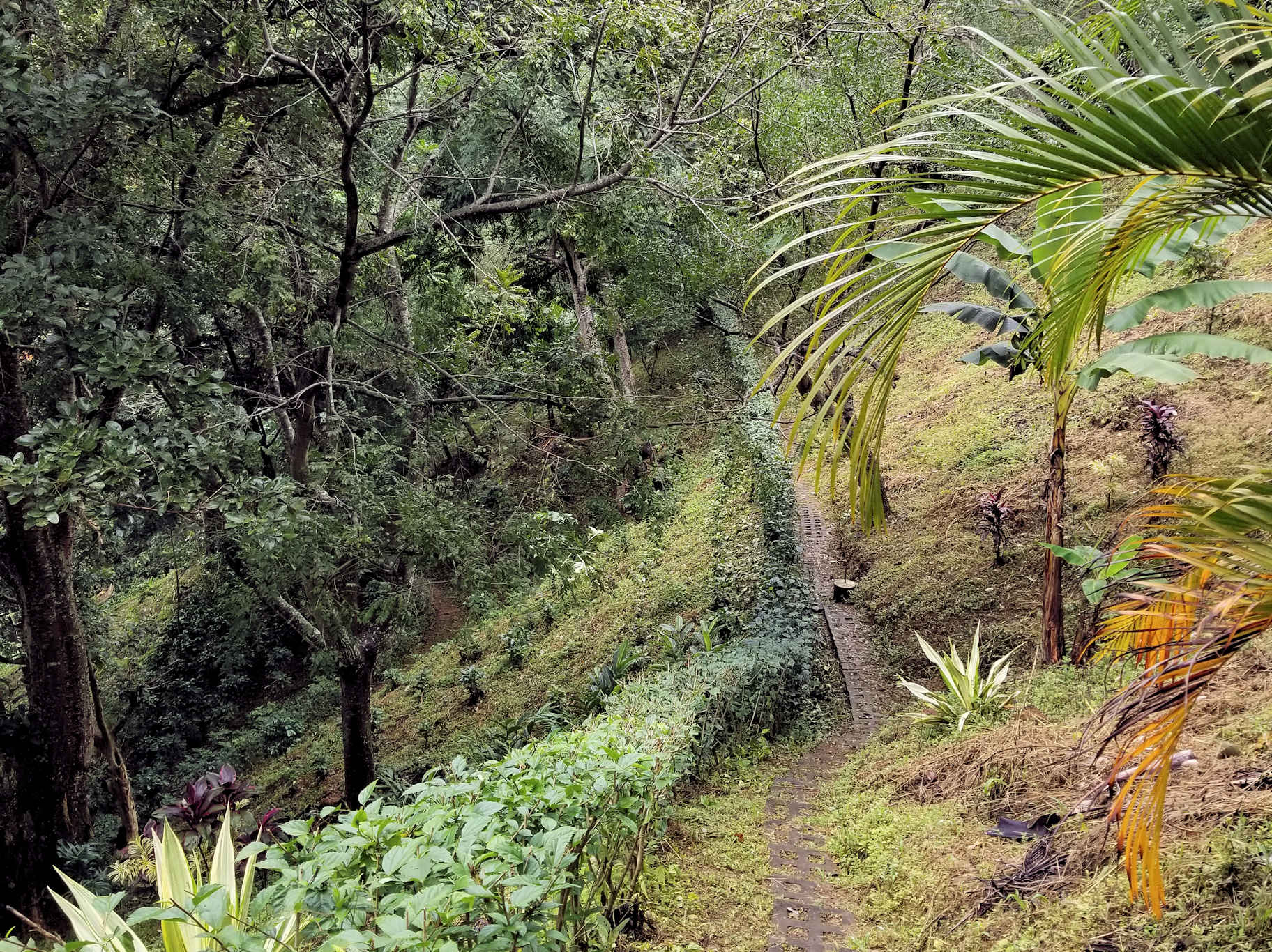 0 bed Land For Sale in Atenas, Alajuela - thumb 15