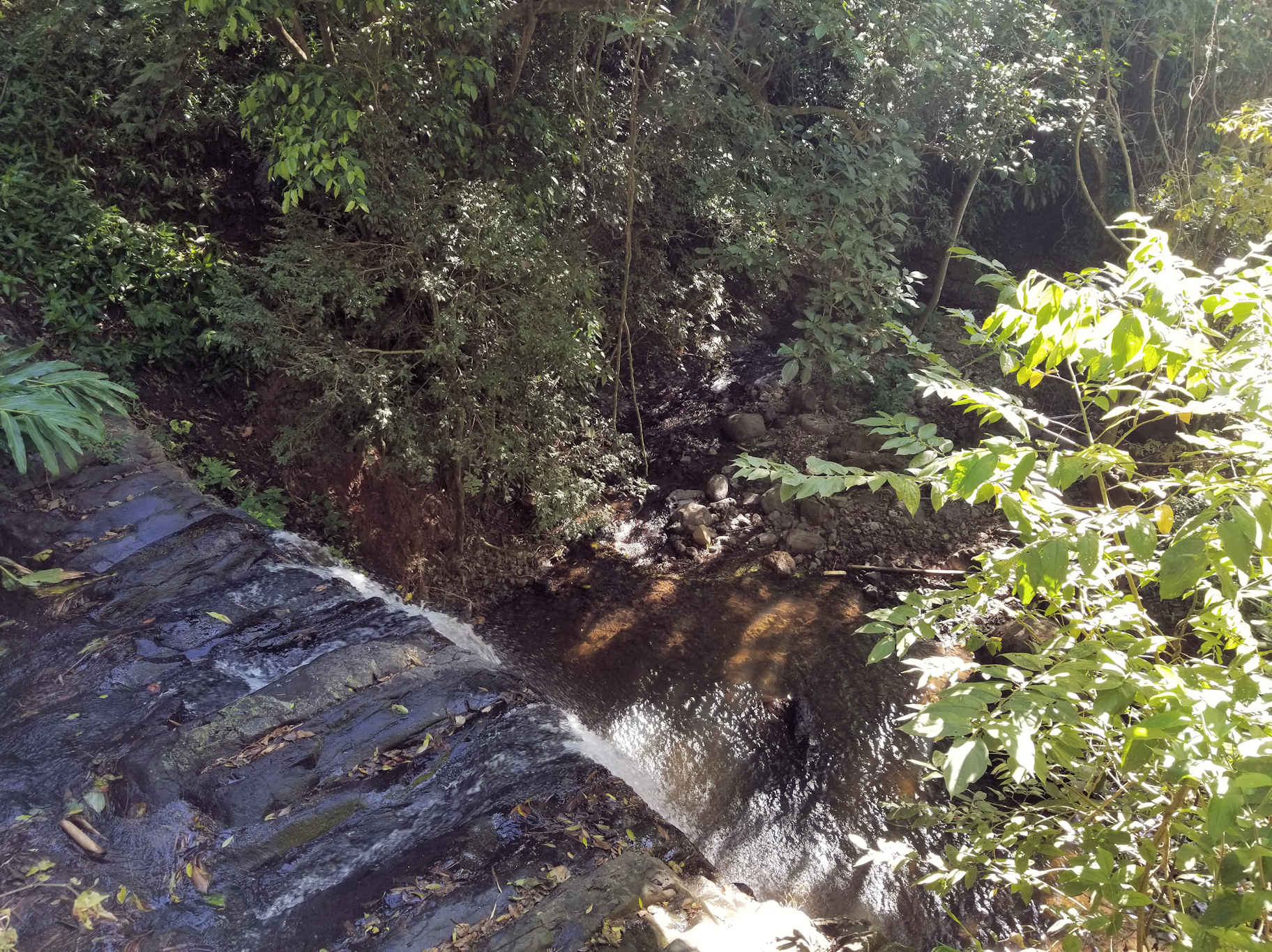 0 bed Land For Sale in Atenas, Alajuela - thumb 16