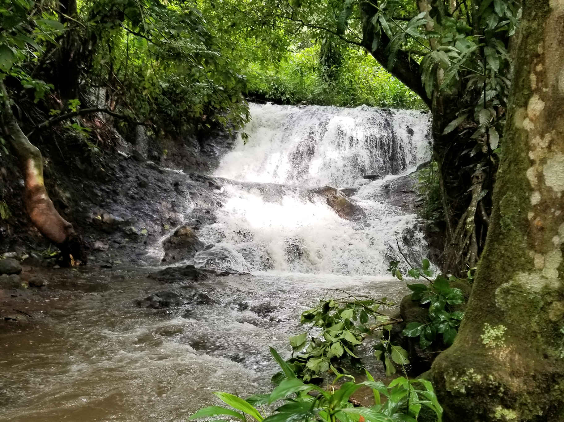 0 bed Land For Sale in Atenas, Alajuela - thumb 18