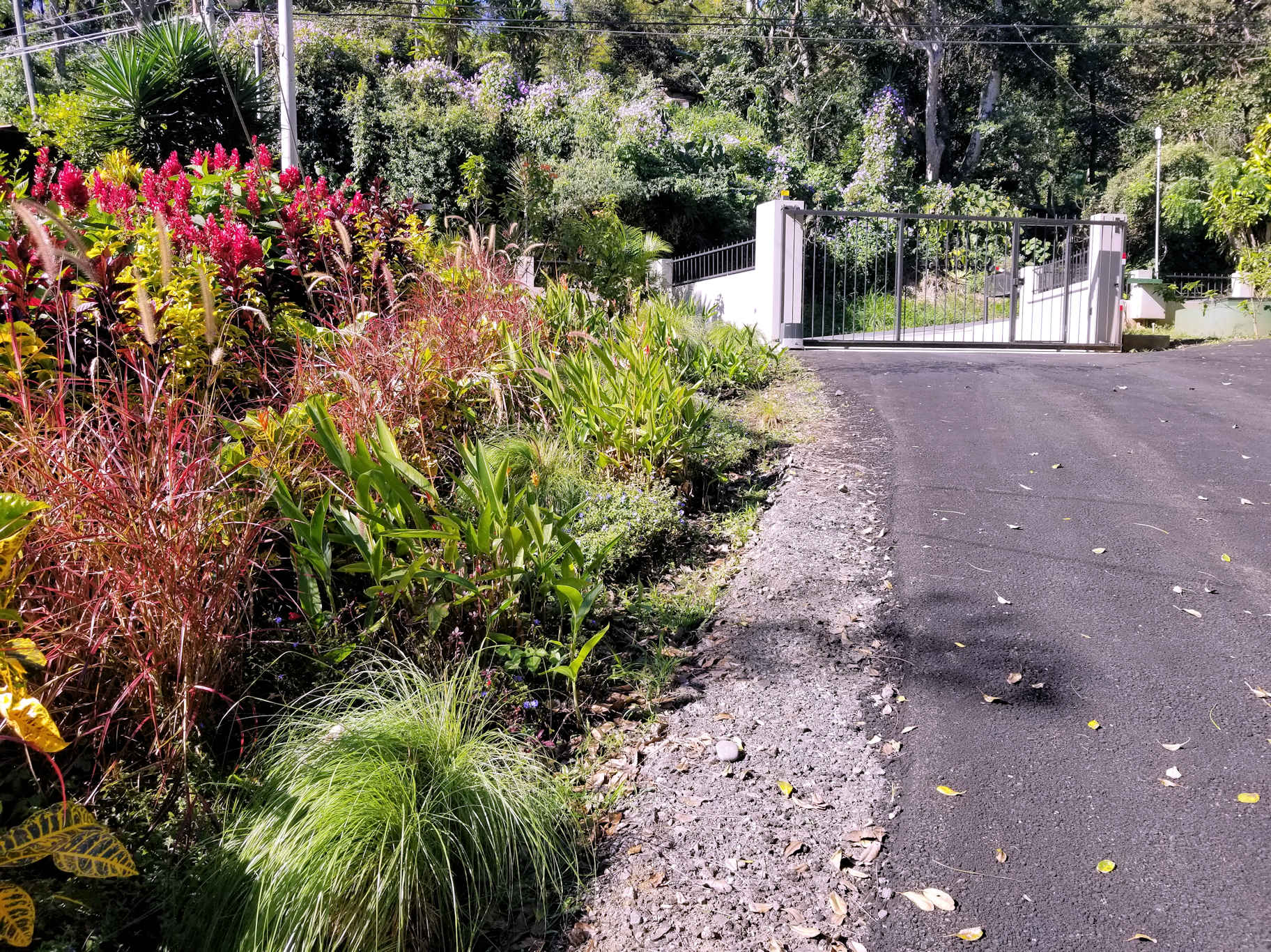 0 bed Land For Sale in Atenas, Alajuela - thumb 2