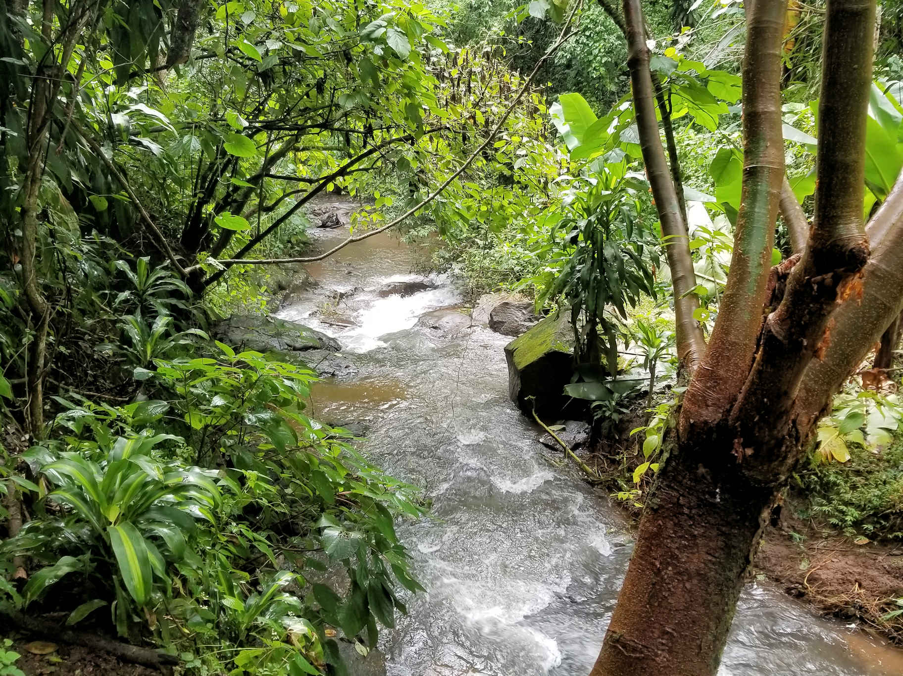 0 bed Land For Sale in Atenas, Alajuela - thumb 17