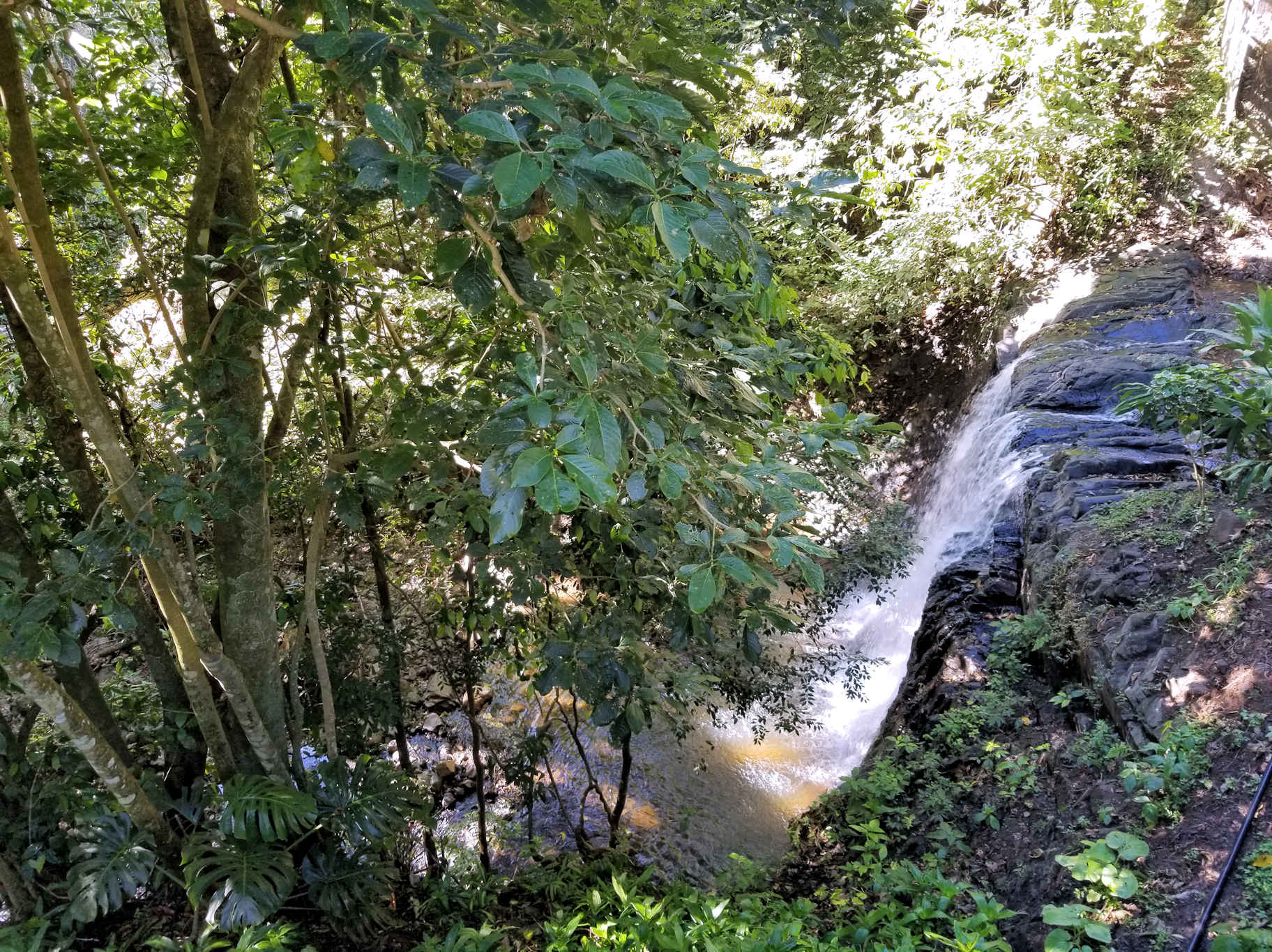 0 bed Land For Sale in Atenas, Alajuela - thumb 15