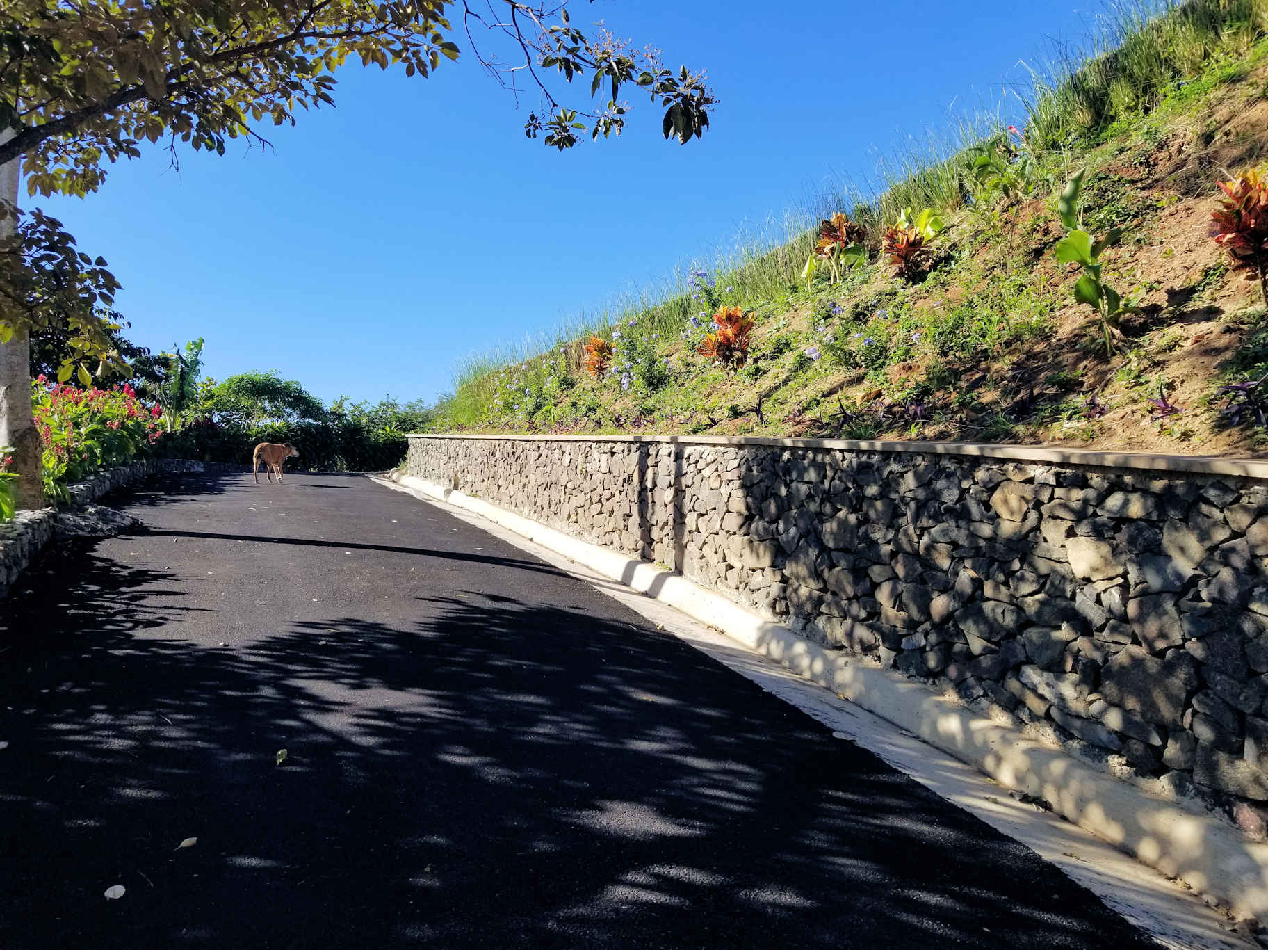 0 bed Land For Sale in Atenas, Alajuela - thumb 8