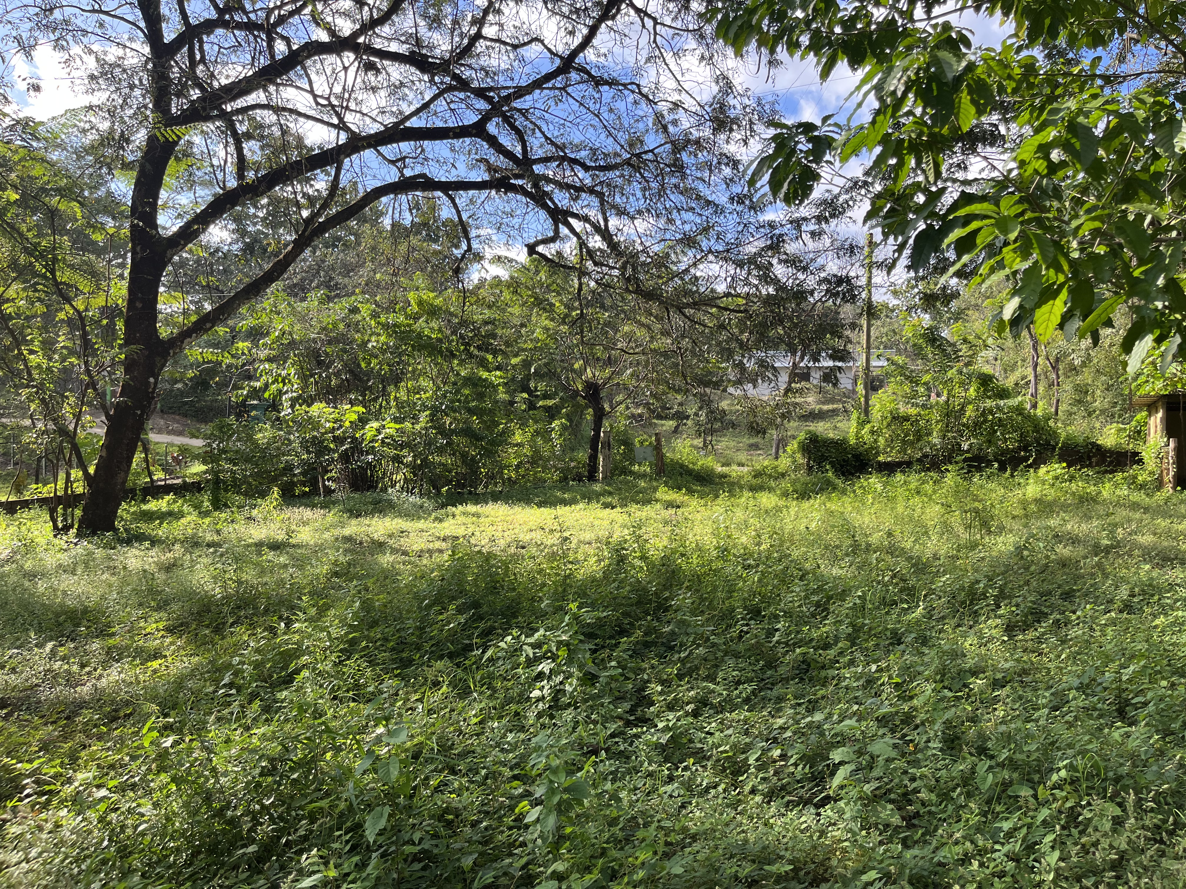 0 bed Land For Sale in Samara, Guanacaste - thumb 6