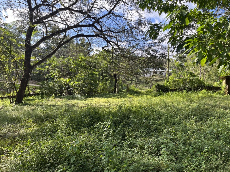 0 bed Land For Sale in Samara, Guanacaste - photo 6