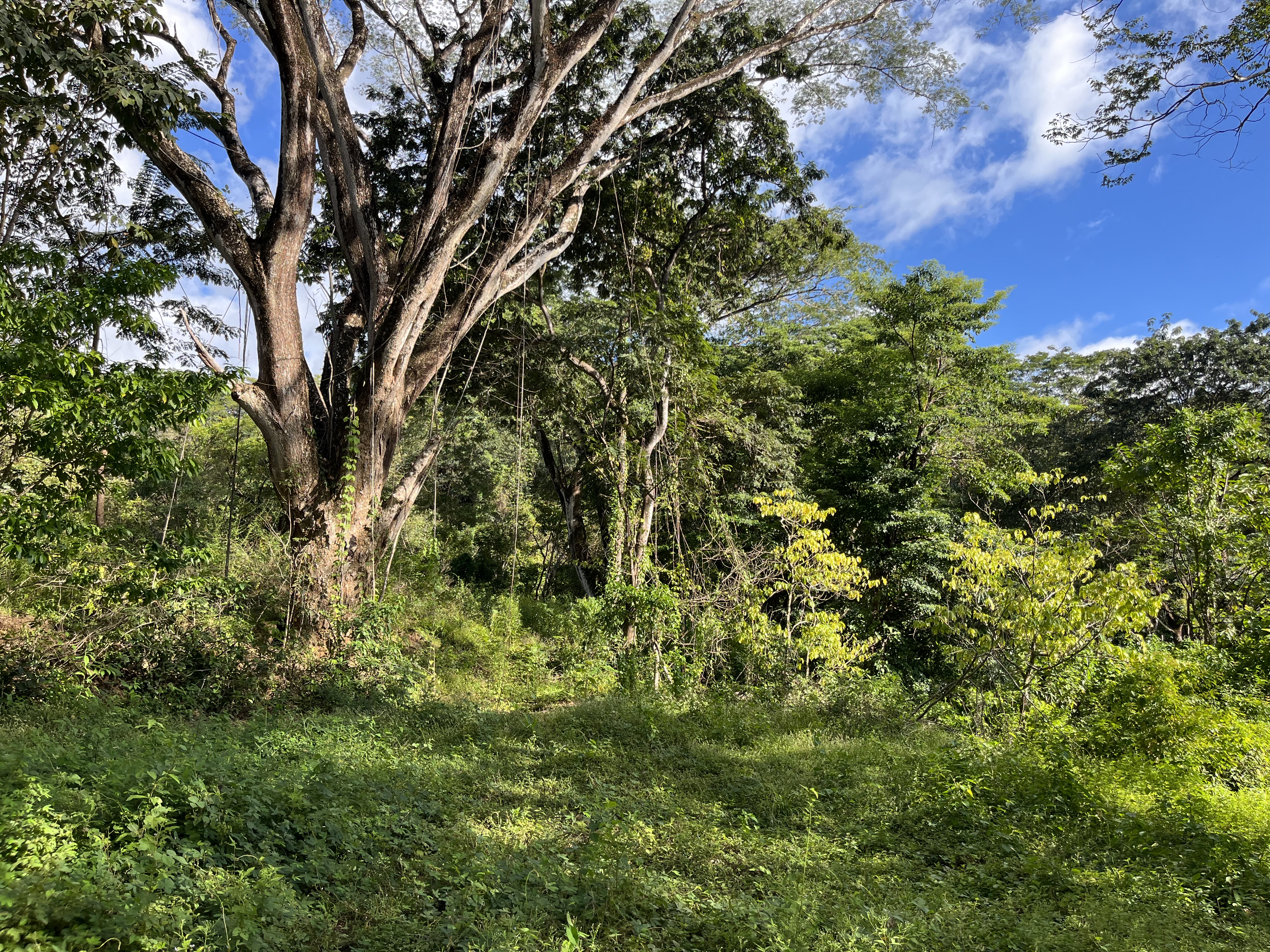 0 bed Land For Sale in Samara, Guanacaste - thumb 5