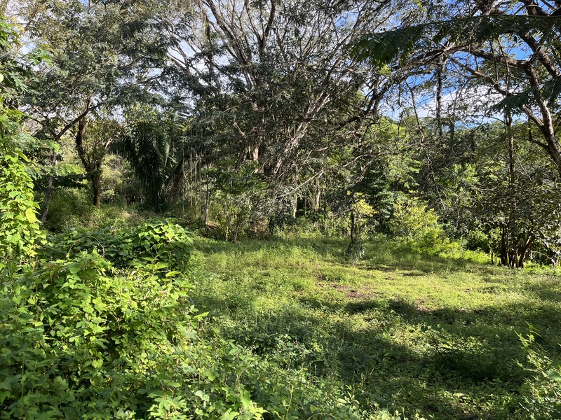 0 bed Land For Sale in Samara, Guanacaste - photo 11