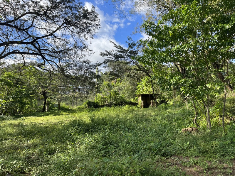 0 bed Land For Sale in Samara, Guanacaste - photo 7