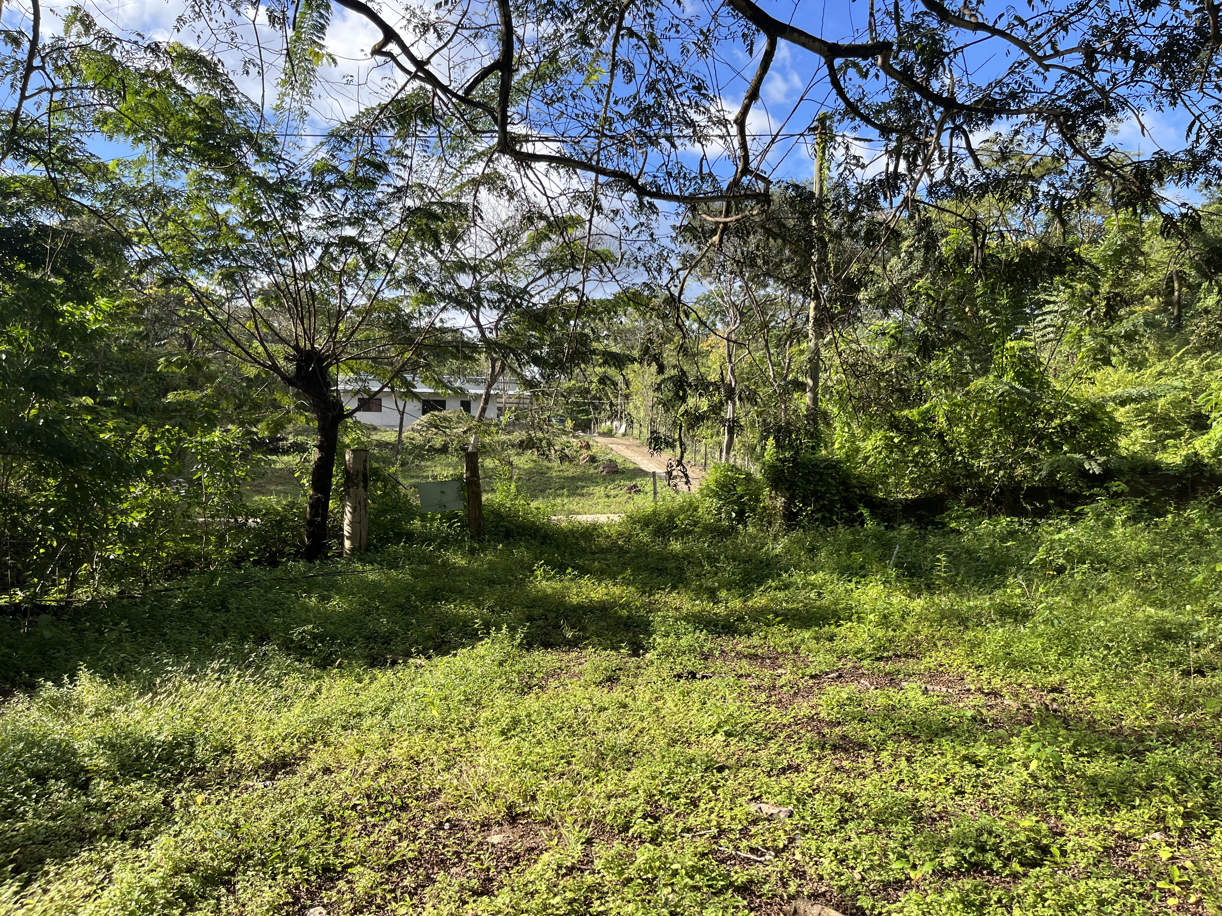 0 bed Land For Sale in Samara, Guanacaste - thumb 2