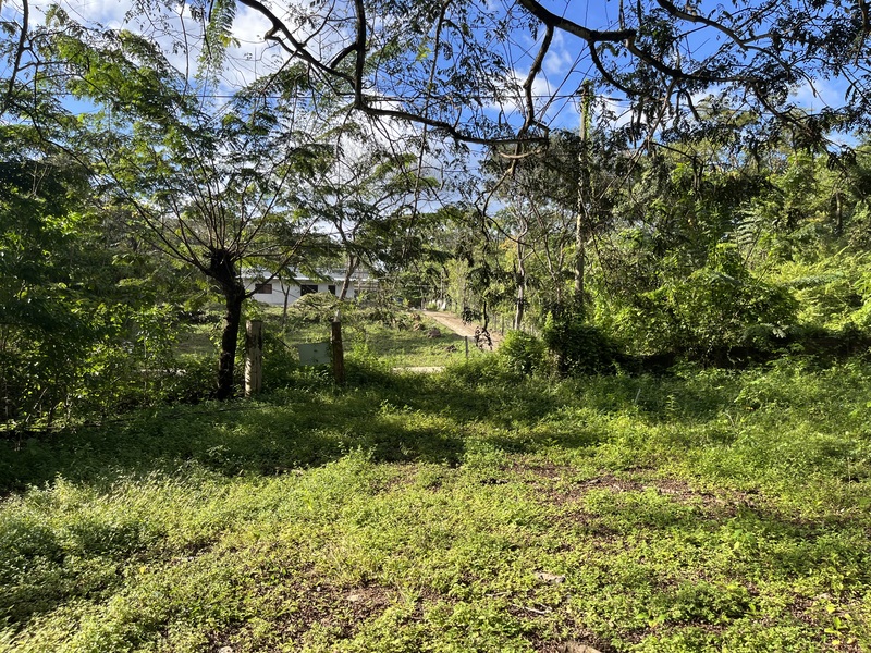 0 bed Land For Sale in Samara, Guanacaste - photo 2