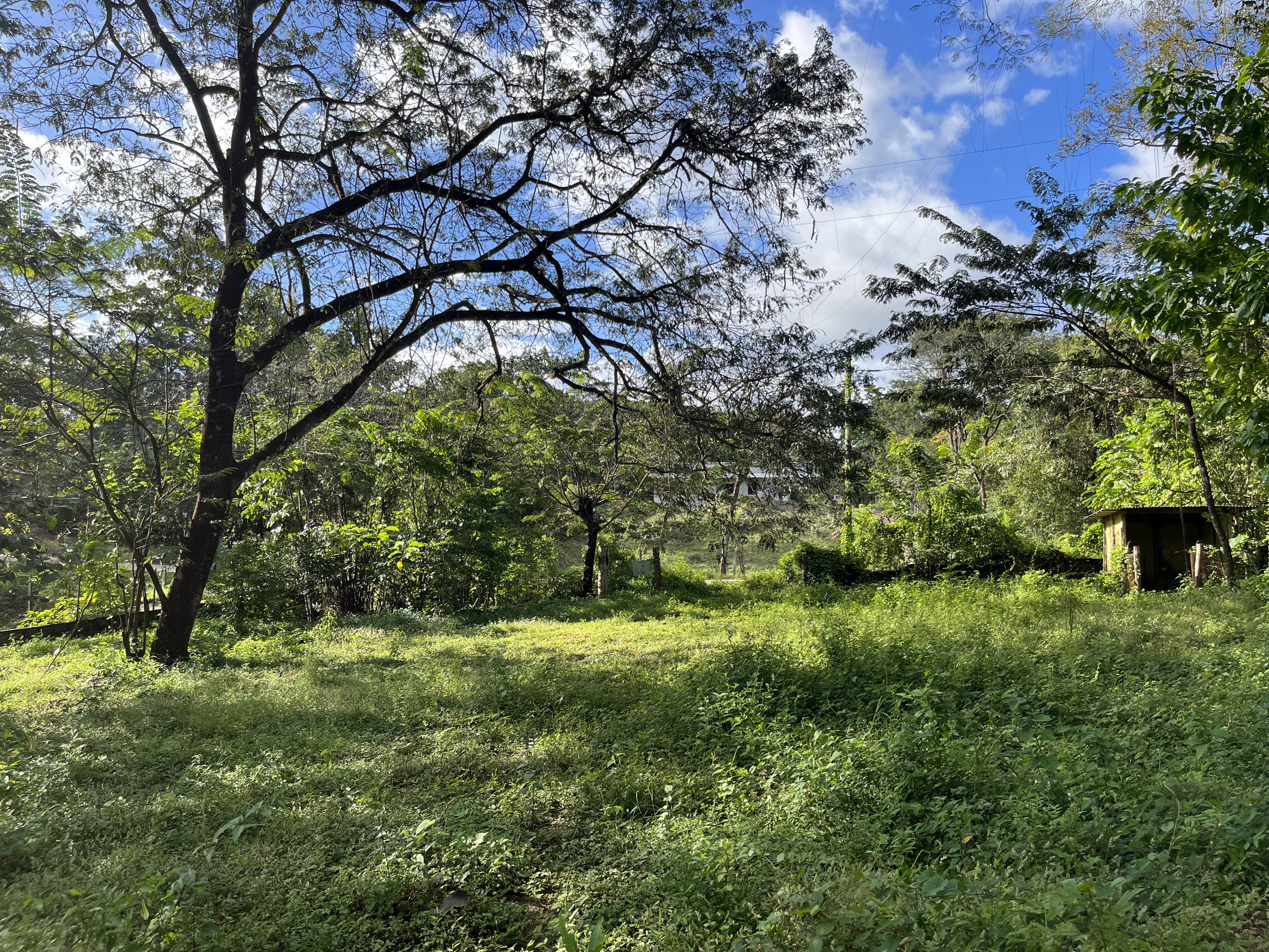0 bed Land For Sale in Samara, Guanacaste - thumb 8