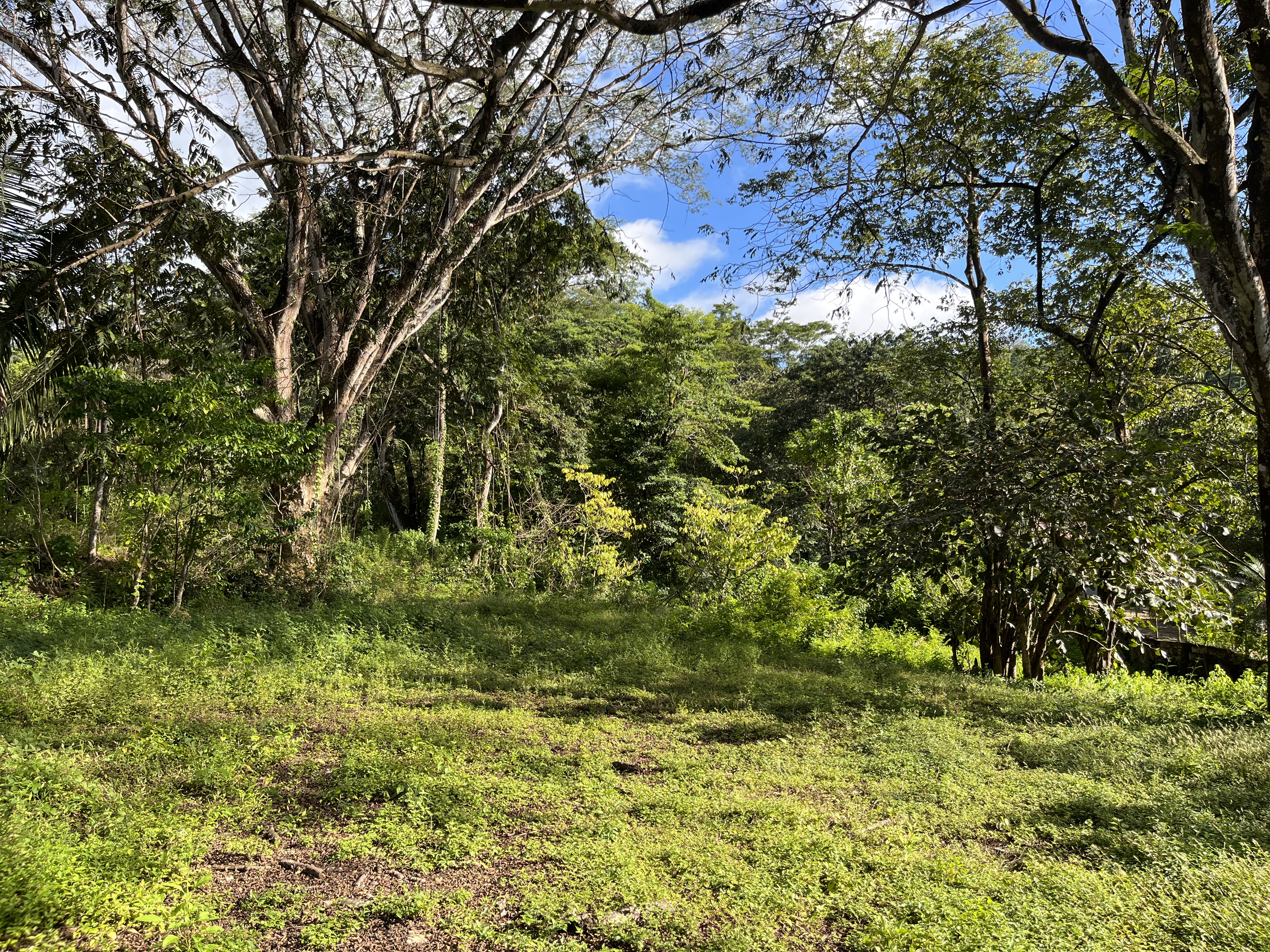 0 bed Land For Sale in Samara, Guanacaste - thumb 1