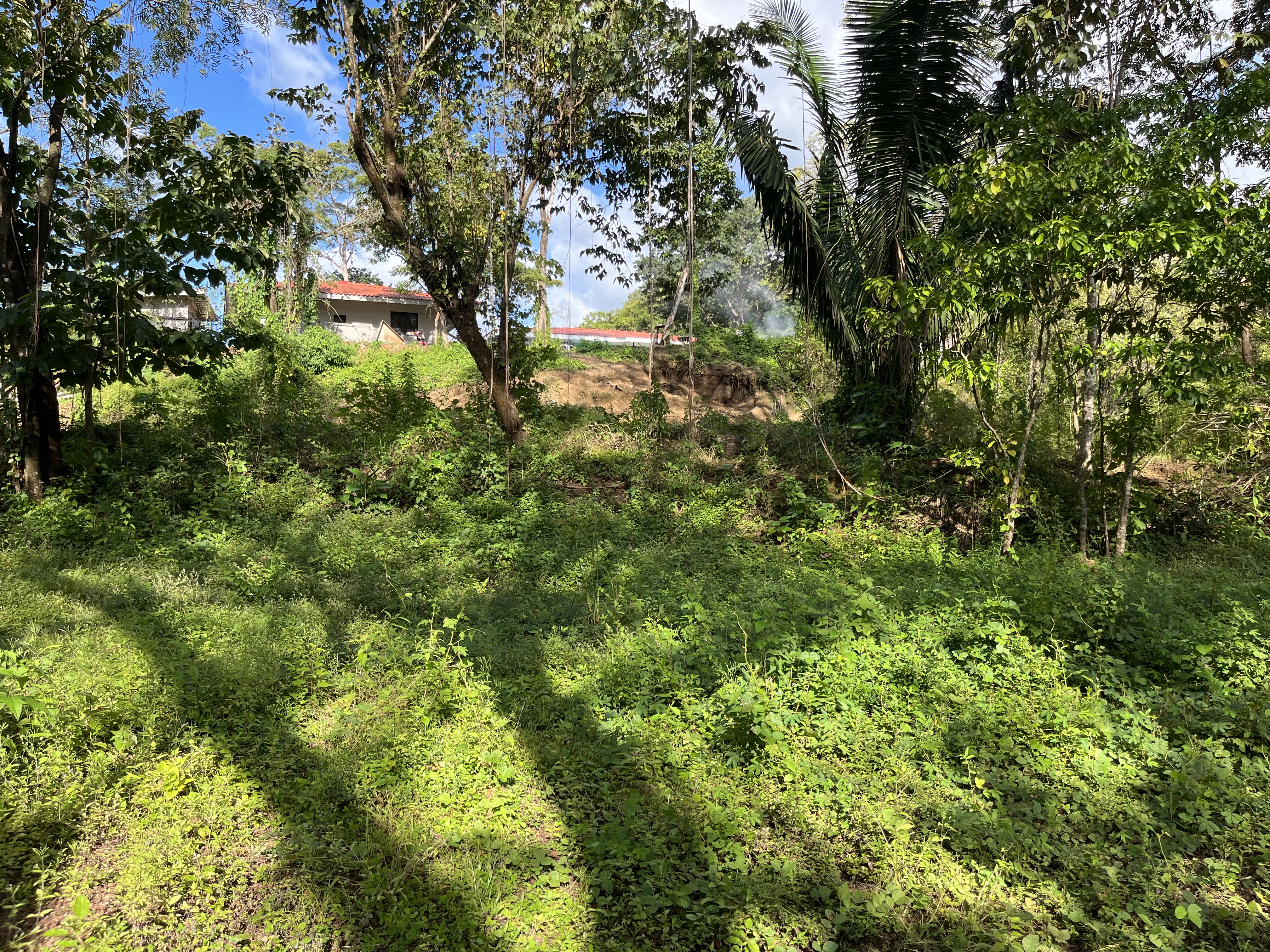 0 bed Land For Sale in Samara, Guanacaste - thumb 4
