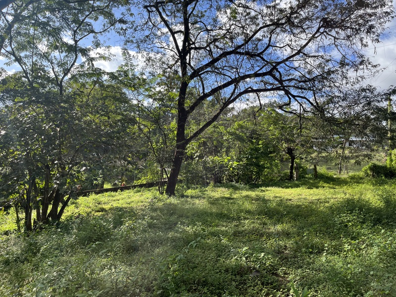 0 bed Land For Sale in Samara, Guanacaste - photo 9
