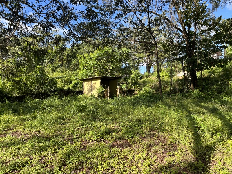 0 bed Land For Sale in Samara, Guanacaste - photo 3