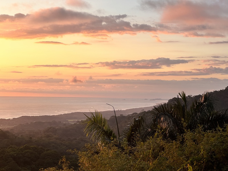 0 bed Land For Sale in Dominical, Puntarenas - 1