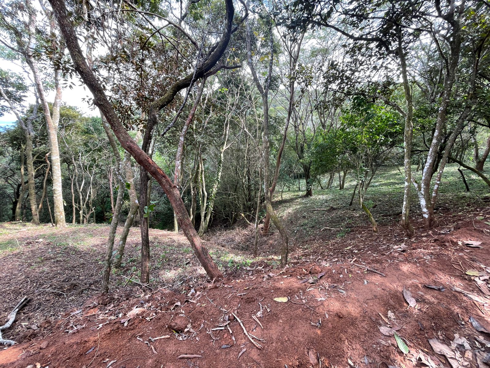 0 bed Land For Sale in Atenas, Alajuela - thumb 10