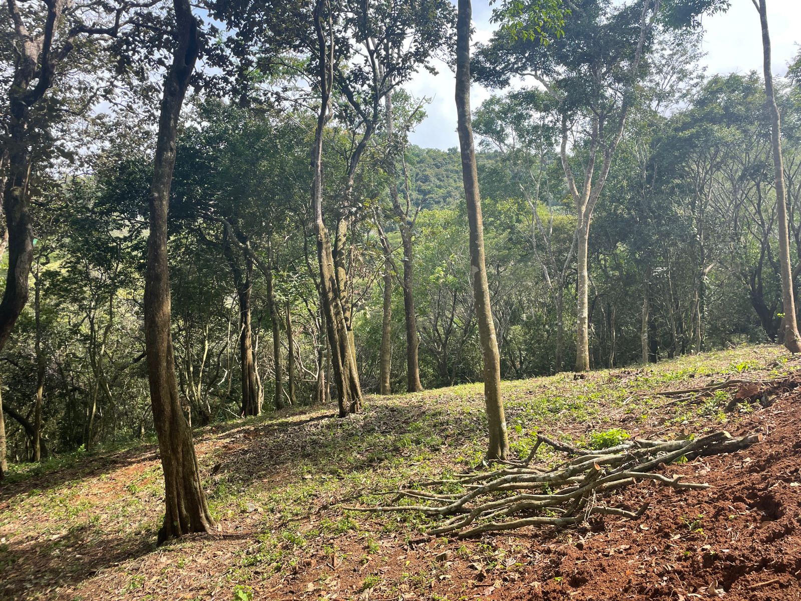 0 bed Land For Sale in Atenas, Alajuela - thumb 2