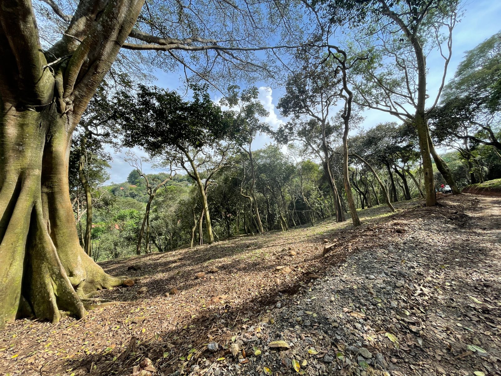 0 bed Land For Sale in Atenas, Alajuela - thumb 13