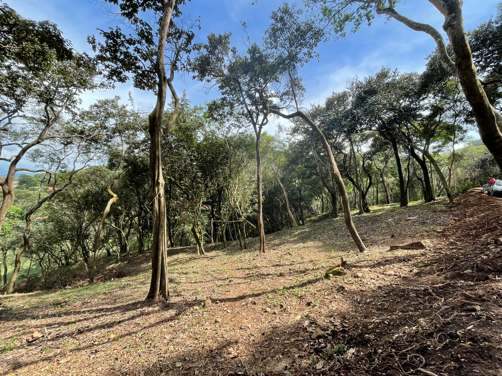 0 bed Land For Sale in Atenas, Alajuela - thumb 2