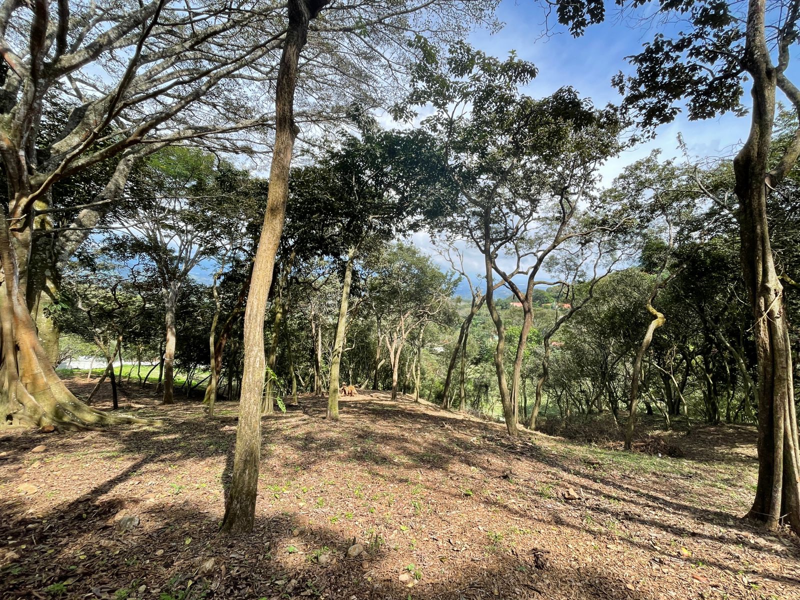 0 bed Land For Sale in Atenas, Alajuela - thumb 5