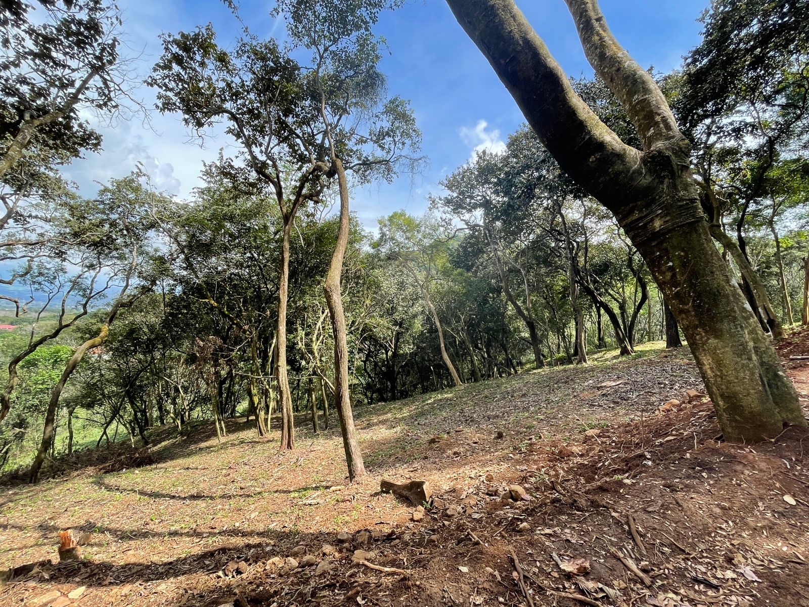 0 bed Land For Sale in Atenas, Alajuela - thumb 7