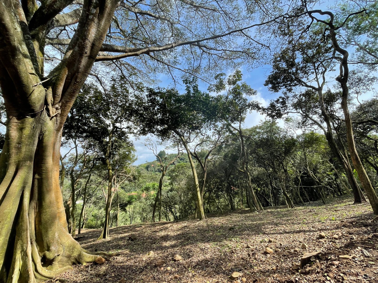 0 bed Land For Sale in Atenas, Alajuela - thumb 6